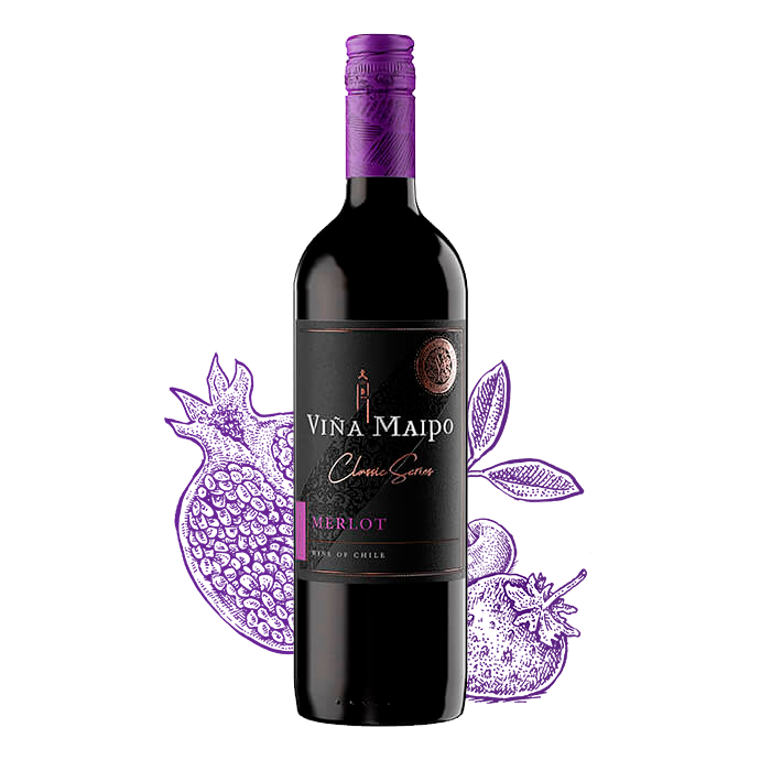 Merlot Viña Maipo Vino Chileno